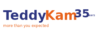 TeddyKam